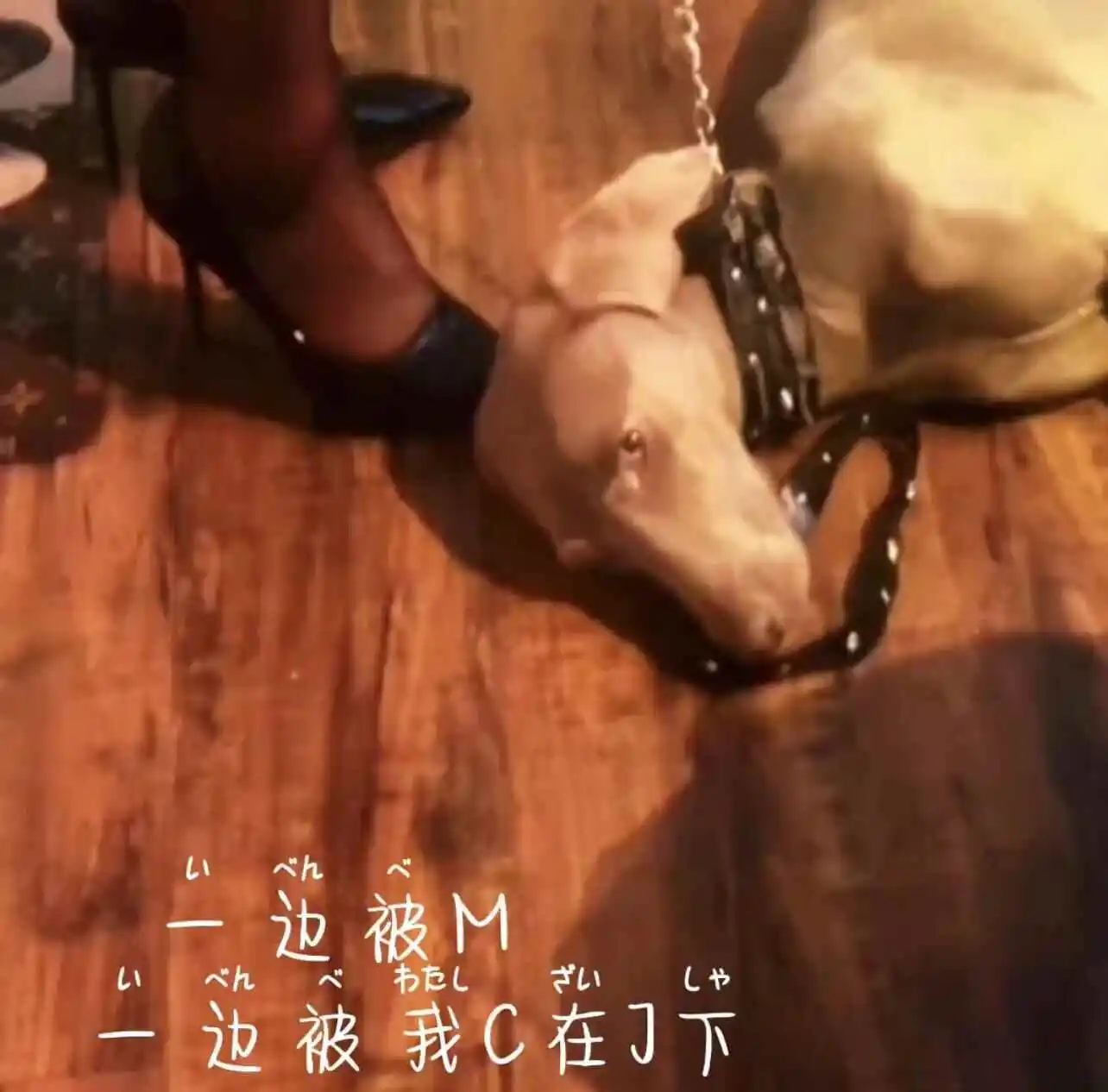 圣水 - 2023_11_07_20_50_IMG_8911