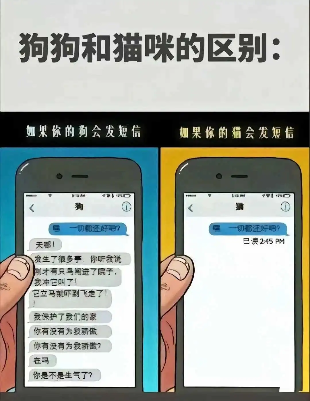 k9犬系 - 微信图片_20250713011414