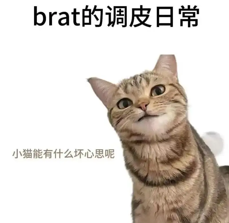 西檬之家-字母圈新人如何入圈？BDSM基础知识与术语解析