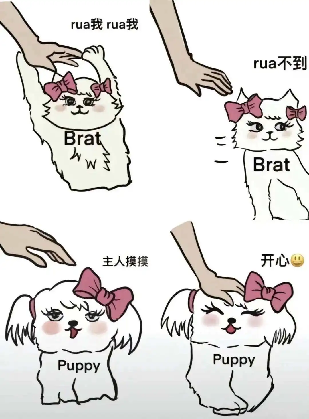 字母圈 - 2023_12_05_21_27_IMG_9364