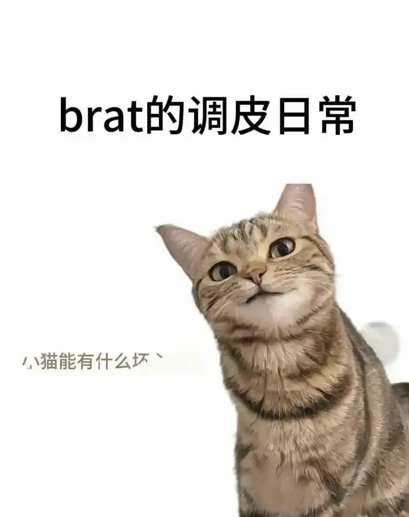 【西檬之家】BDSM字母圈DOM是什么意思？