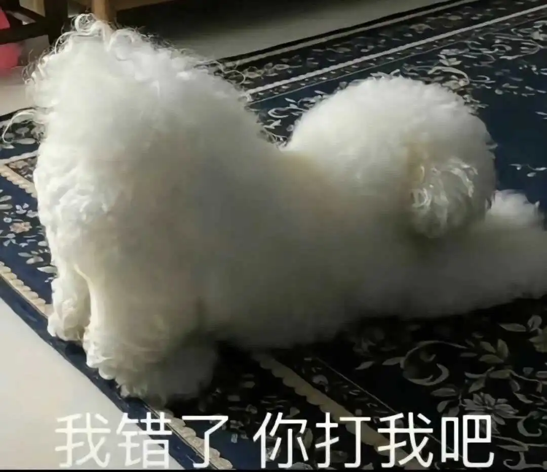 【西檬之家】S属性解析：字母圈新人必知的核心概念