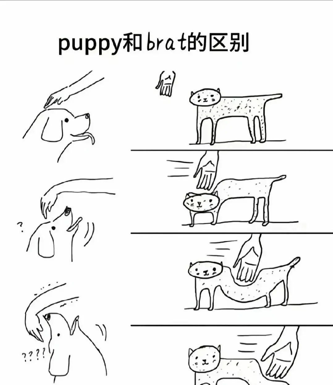 【西檬之家】BDSM新手入圈指南：核心术语与安全原则解析