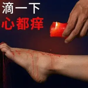 西檬之家-字母圈Sub是什么？新人的全面解析从基础术语到角色定位